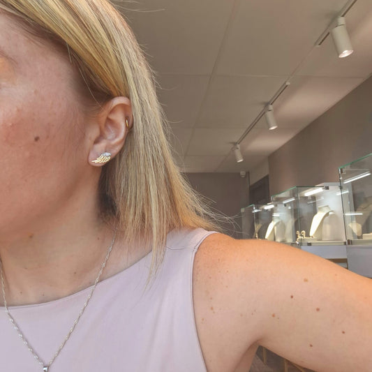 Aros Alas de Arcángel