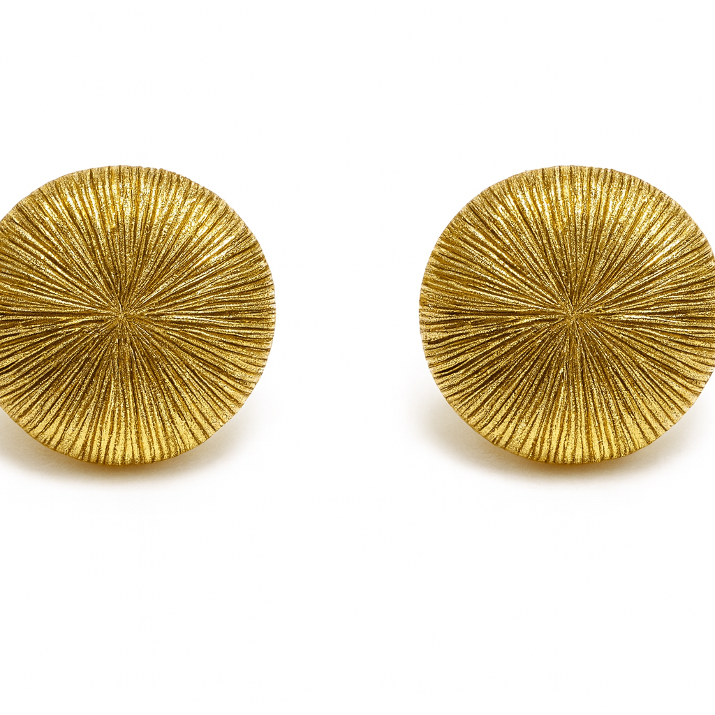 Aros Silvana - Aros Plata 925