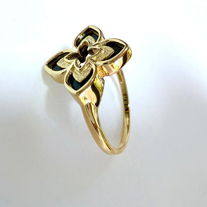 Anillo Renata