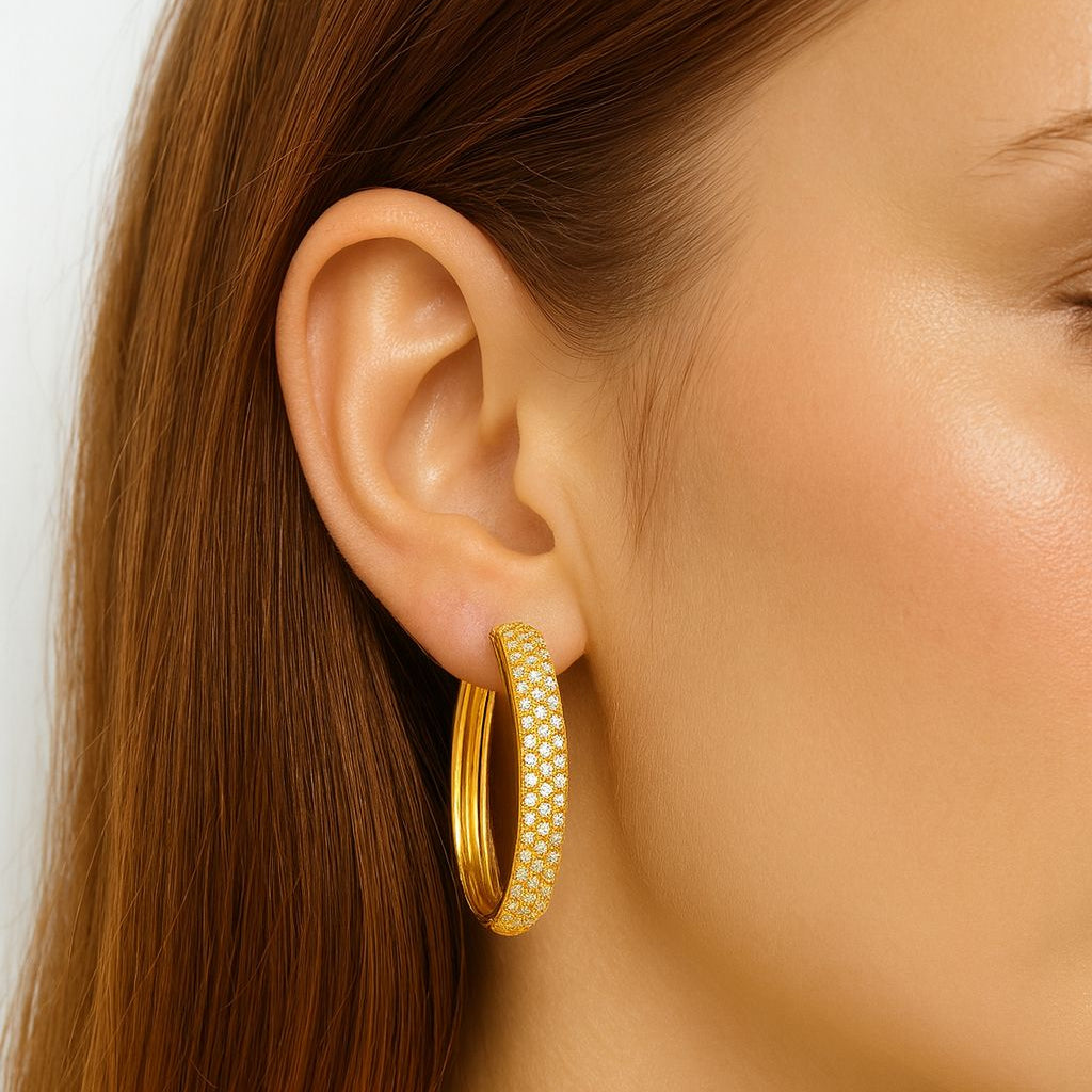 AROS ARGOLLA DELFINA