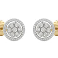 Aros Flor de Luz - Aros Oro 18K