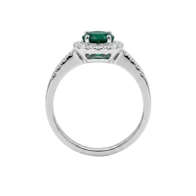 Anillo Verde Botánico - Platino