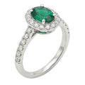 Anillo Verde Botánico - Platino