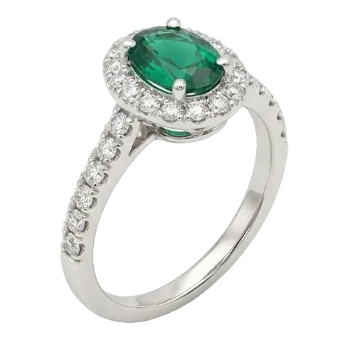 Anillo Verde Botánico - Platino