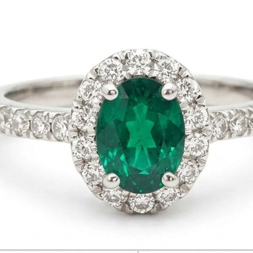 Anillo Verde Botánico - Platino