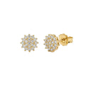 Aros Clúster - Aros Oro 18k